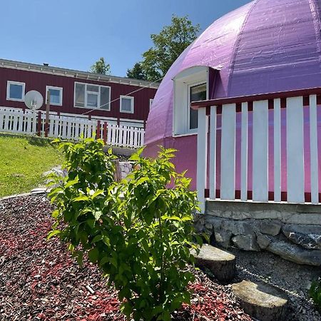 Dirndlhaus Lägenhet Kirchberg an der Pielach Exteriör bild
