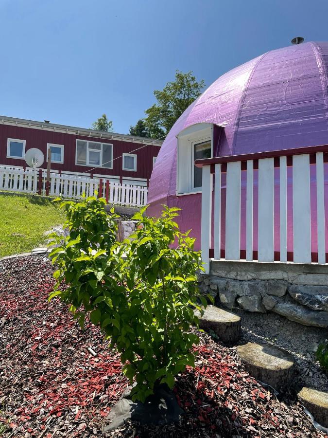 Dirndlhaus Lägenhet Kirchberg an der Pielach Exteriör bild